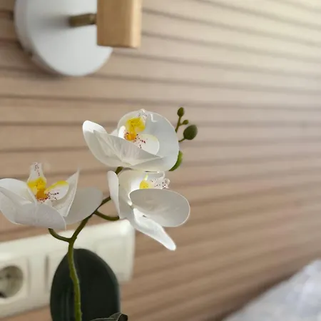 Lovely On The * Almuñécar